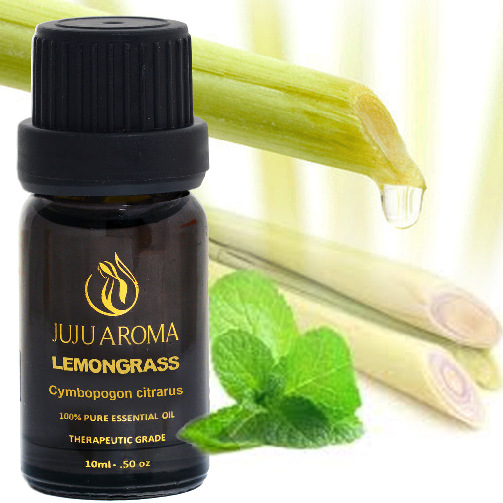 Aromatherapy BEST 6 100% Pure Therapeutic Grade Essential Oil Gift Set- 6/10 Ml (Lavender, Cedarwood, Eucalyptus, Lemongrass, Orange, Peppermint) Free eBook (6 OIL GIFT SET B)