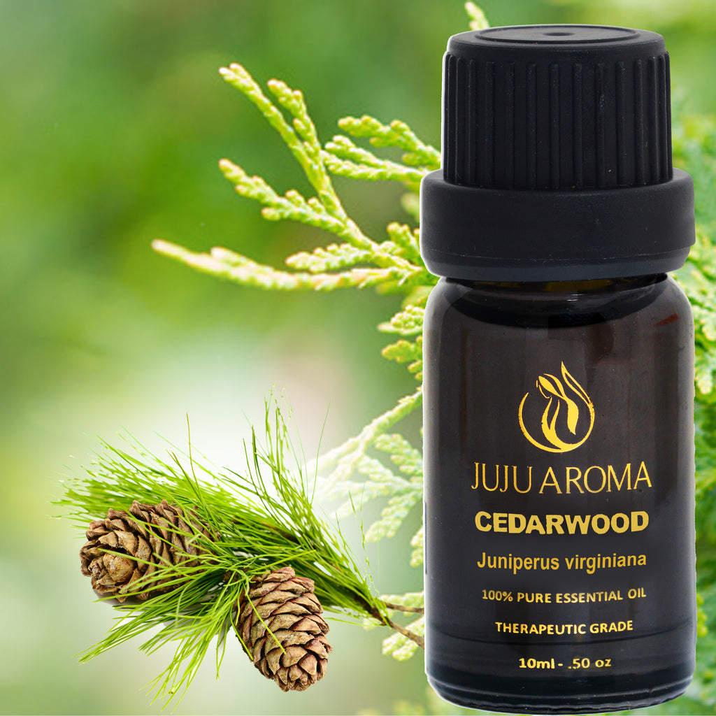 Aromatherapy BEST 6 100% Pure Therapeutic Grade Essential Oil Gift Set- 6/10 Ml (Lavender, Cedarwood, Eucalyptus, Lemongrass, Orange, Peppermint) Free eBook (6 OIL GIFT SET B)