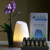 Daisy Diffuser with Essential Oil Gift Set Bundle