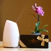 Daisy Diffuser with Essential Oil Gift Set Bundle
