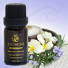 Rosemary Essential Oil - 100% Pure, Natural and Therapeutic Grade - 10ml - By JuJu Aroma