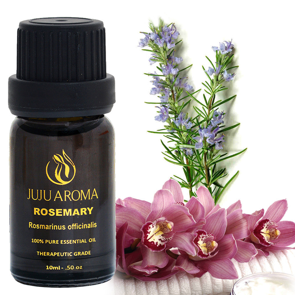Rosemary Essential Oil - 100% Pure, Natural and Therapeutic Grade - 10ml - By JuJu Aroma